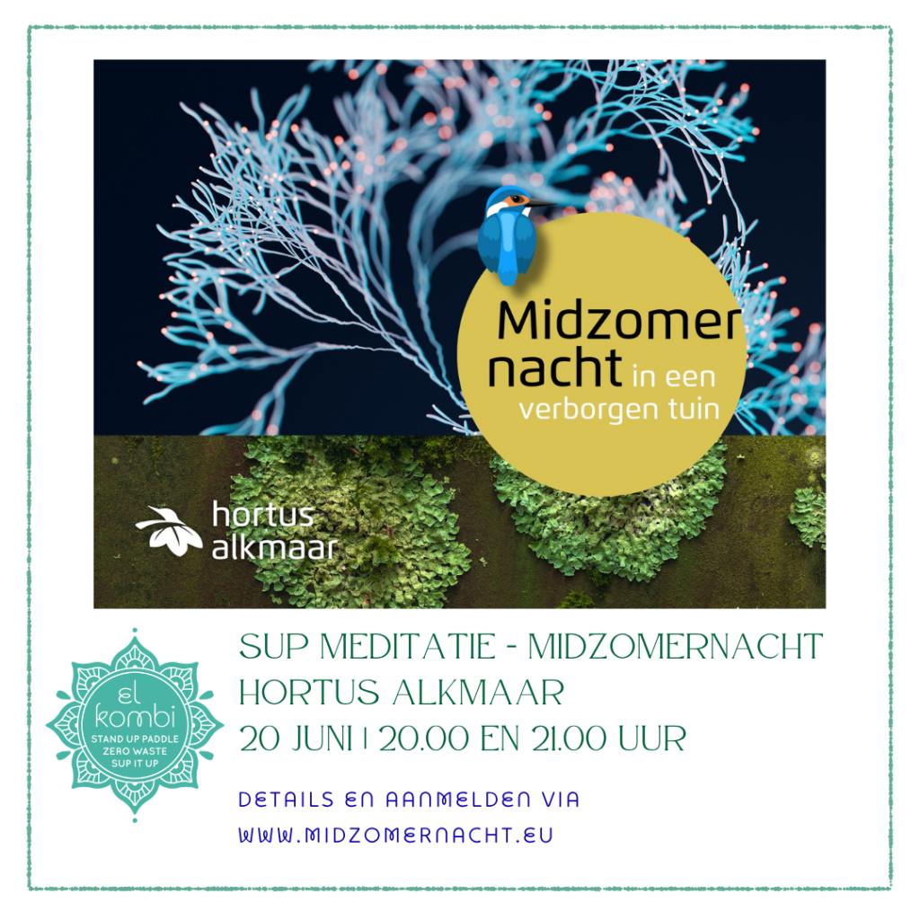 2026 Sup Meditatie tijdens Midzomernacht IG